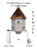 XL Bird House Copper 1 1/2 inch Entry Package 5ft Post