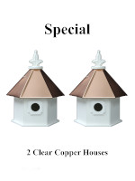 2 Hanging Bird Houses Copper Roofs