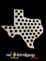 Texas Beer Bottle Cap Map